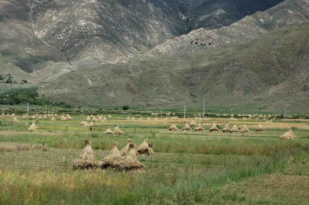 96 - Tibet - panoramica
